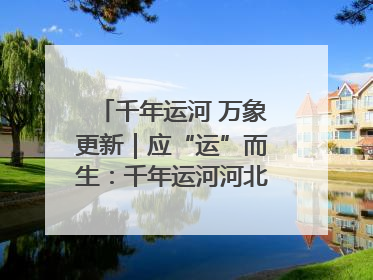千年运河 万象更新｜应“运”而生：千年运河河北沧州段展新颜