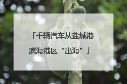 千辆汽车从盐城港滨海港区“出海”