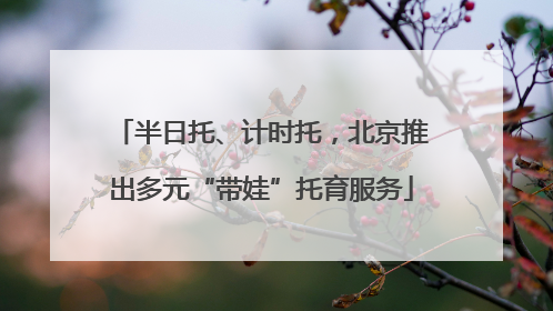 半日托、计时托，北京推出多元“带娃”托育服务