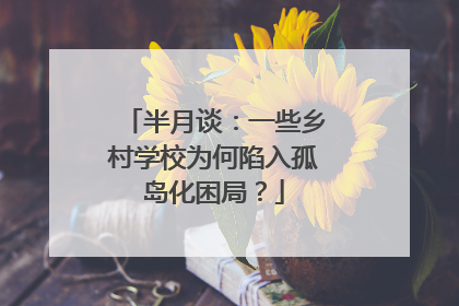 半月谈：一些乡村学校为何陷入孤岛化困局？