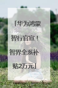 华为鸿蒙智行官宣！智界全系补贴2万元