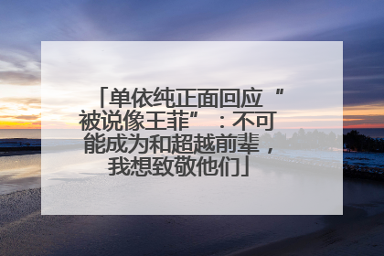 单依纯正面回应“被说像王菲”：不可能成为和超越前辈，我想致敬他们