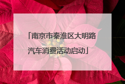 南京市秦淮区大明路汽车消费活动启动