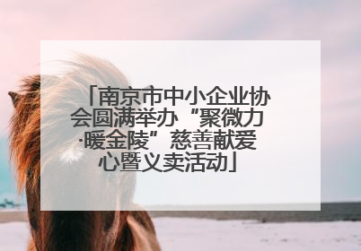 南京市中小企业协会圆满举办“聚微力·暖金陵”慈善献爱心暨义卖活动