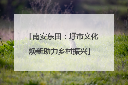 南安东田：圩市文化焕新助力乡村振兴