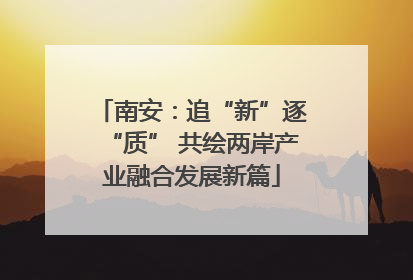 南安：追“新”逐“质” 共绘两岸产业融合发展新篇