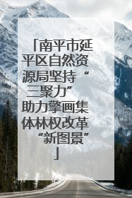 南平市延平区自然资源局坚持“三聚力” 助力擎画集体林权改革“新图景”