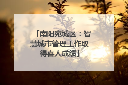 南阳宛城区：智慧城市管理工作取得喜人成绩