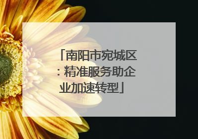 南阳市宛城区：精准服务助企业加速转型