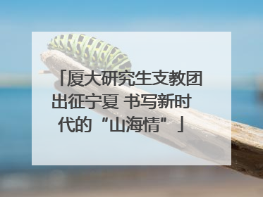 厦大研究生支教团出征宁夏 书写新时代的“山海情”