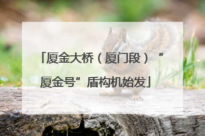厦金大桥（厦门段）“厦金号”盾构机始发