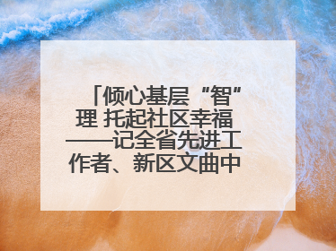 倾心基层“智”理 托起社区幸福——记全省先进工作者、新区文曲中心社区党委书记董世弘