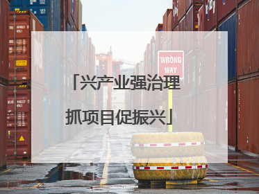 兴产业强治理 抓项目促振兴