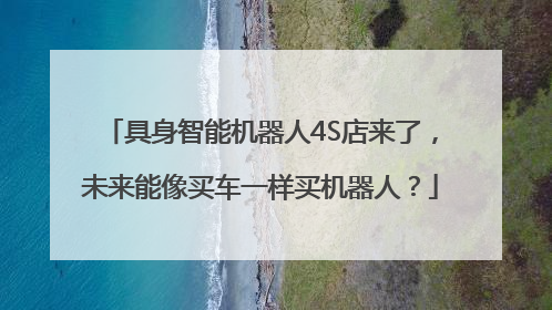 具身智能机器人4S店来了，未来能像买车一样买机器人？