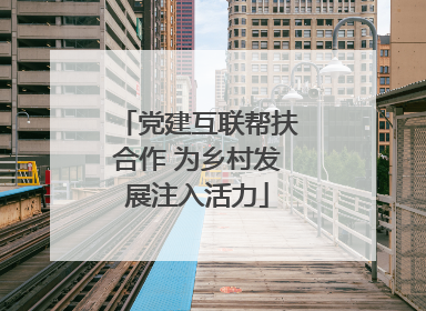 党建互联帮扶合作 为乡村发展注入活力