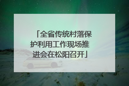 全省传统村落保护利用工作现场推进会在松阳召开
