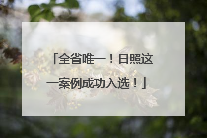 全省唯一！日照这一案例成功入选！