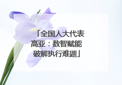 全国人大代表高亚：数智赋能破解执行难题