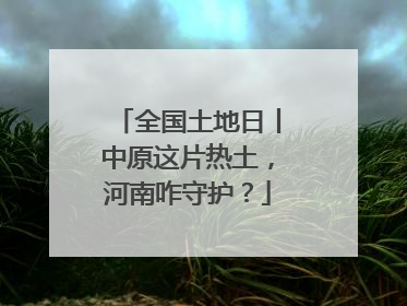 全国土地日丨中原这片热土，河南咋守护？