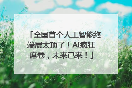 全国首个人工智能终端展太顶了！AI疯狂席卷，未来已来！