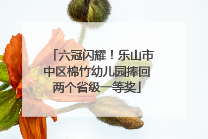 六冠闪耀！乐山市中区棉竹幼儿园捧回两个省级一等奖