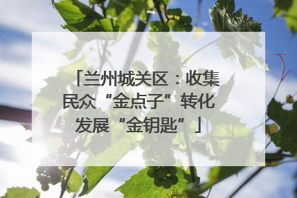 兰州城关区：收集民众“金点子”转化发展“金钥匙”