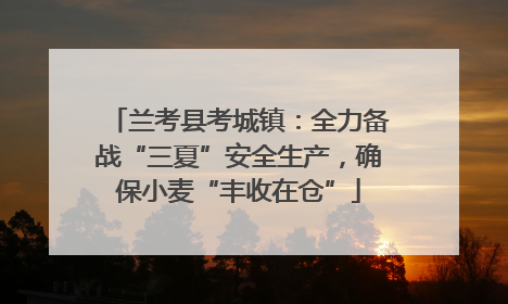 兰考县考城镇：全力备战“三夏”安全生产，确保小麦“丰收在仓”
