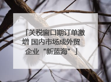 关税窗口期订单激增 国内市场成外贸企业“新蓝海”