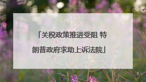 关税政策推进受阻 特朗普政府求助上诉法院