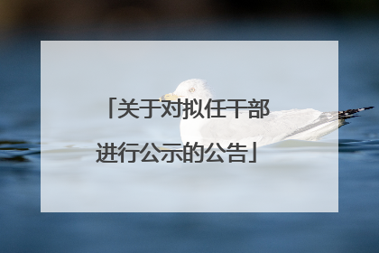 关于对拟任干部进行公示的公告