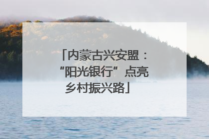 内蒙古兴安盟：“阳光银行”点亮乡村振兴路