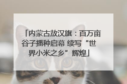 内蒙古敖汉旗：百万亩谷子播种启幕 续写“世界小米之乡”辉煌