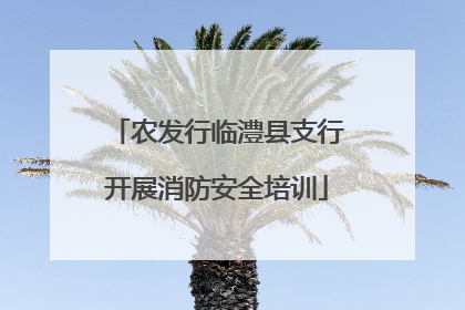 农发行临澧县支行开展消防安全培训