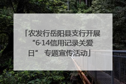 农发行岳阳县支行开展“6·14信用记录关爱日” 专题宣传活动
