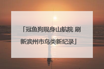 冠鱼狗现身山航院 刷新滨州市鸟类新纪录
