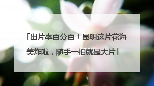 出片率百分百！昆明这片花海美炸啦，随手一拍就是大片