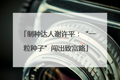 制种达人谢许平：“一粒种子”闯出致富路
