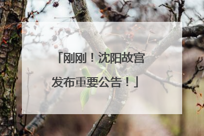 刚刚!沈阳故宫发布重要公告!