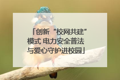 创新“校网共建”模式 电力安全普法与爱心守护进校园