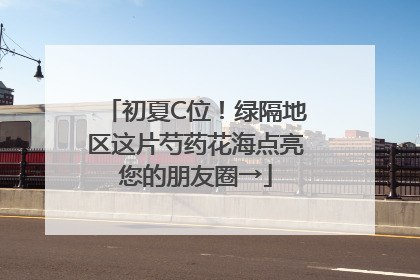 初夏C位！绿隔地区这片芍药花海点亮您的朋友圈→