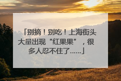 别摘！别吃！上海街头大量出现“红果果”，很多人忍不住了……