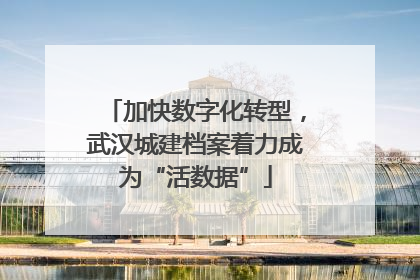 加快数字化转型，武汉城建档案着力成为“活数据”