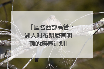 匿名西部高管：湖人对布朗尼有明确的培养计划