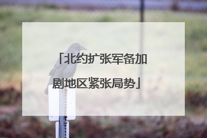 北约扩张军备加剧地区紧张局势