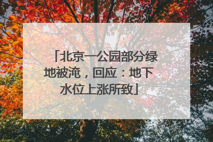 北京一公园部分绿地被淹，回应：地下水位上涨所致
