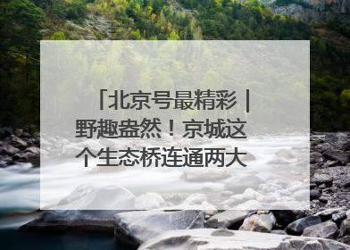 北京号最精彩｜野趣盎然！京城这个生态桥连通两大网红公园