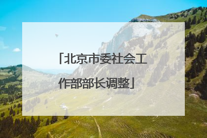 北京市委社会工作部部长调整