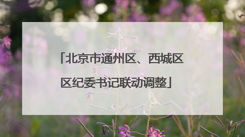 北京市通州区、西城区区纪委书记联动调整