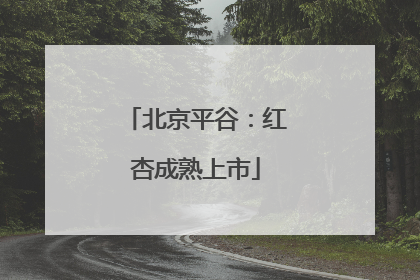 北京平谷：红杏成熟上市