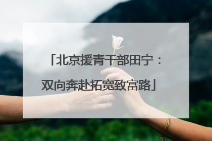 北京援青干部田宁：双向奔赴拓宽致富路